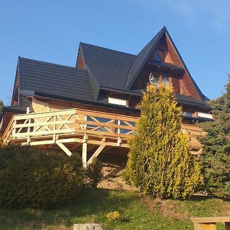 Willa Janosik Witów Esterno foto